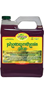 Photosynthesis plus comp chart