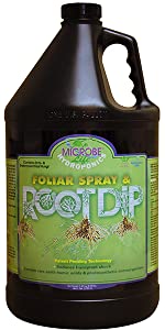 Root Dip